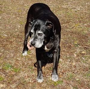 Meet your Posher, Grant